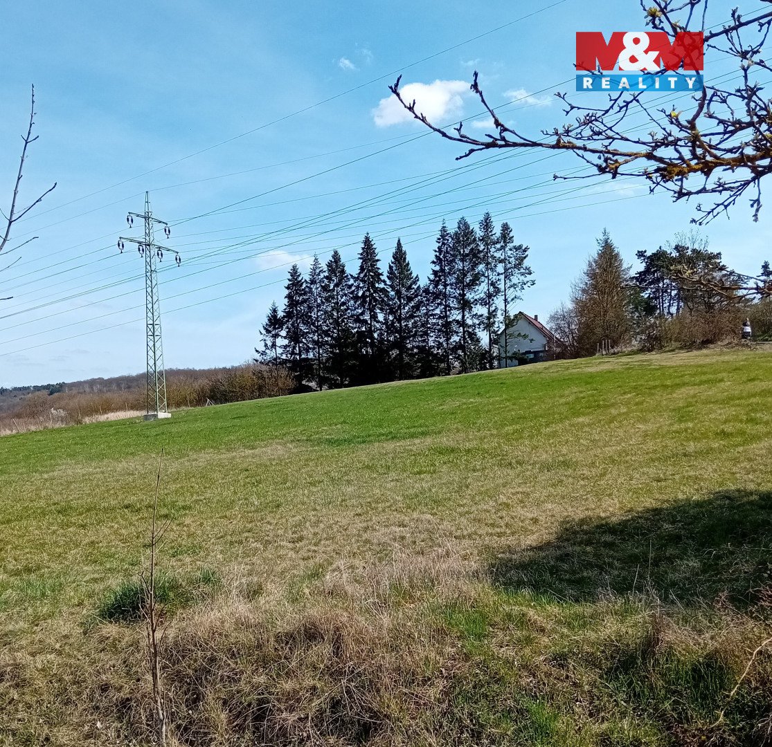 Prodej louky, 4400 m², Vráž, ul. Svatojánská
