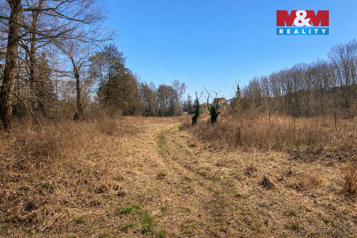 Prodej pozemku k bydlení, 5378 m², Velemín