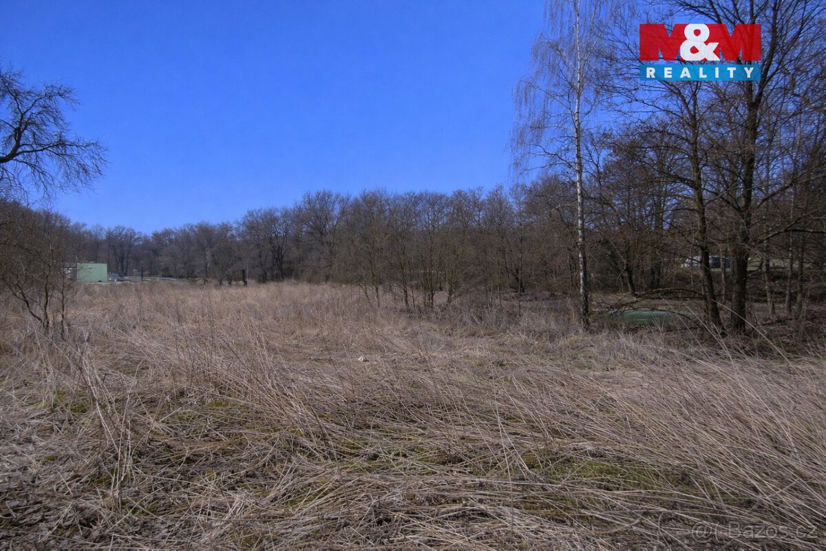 Prodej pozemku k bydlení, 5378 m², Velemín