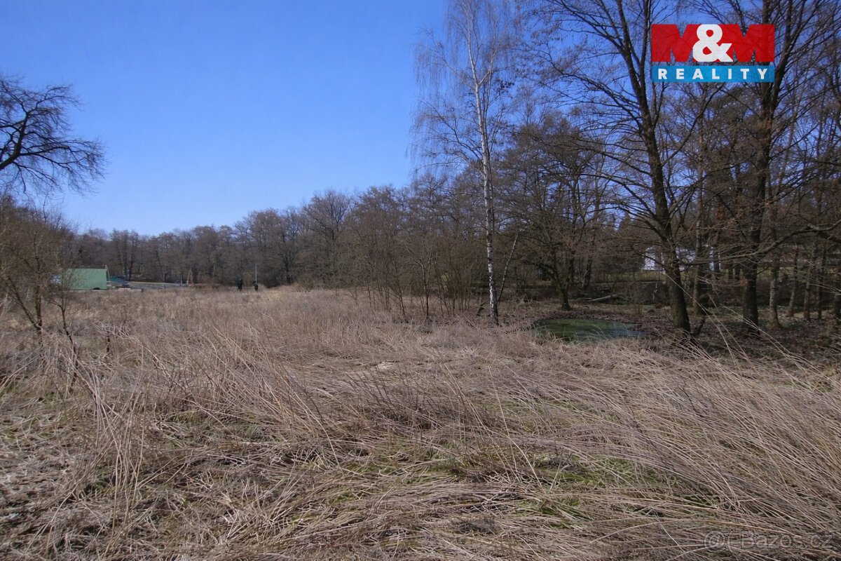 Prodej pozemku k bydlení, 5378 m², Velemín