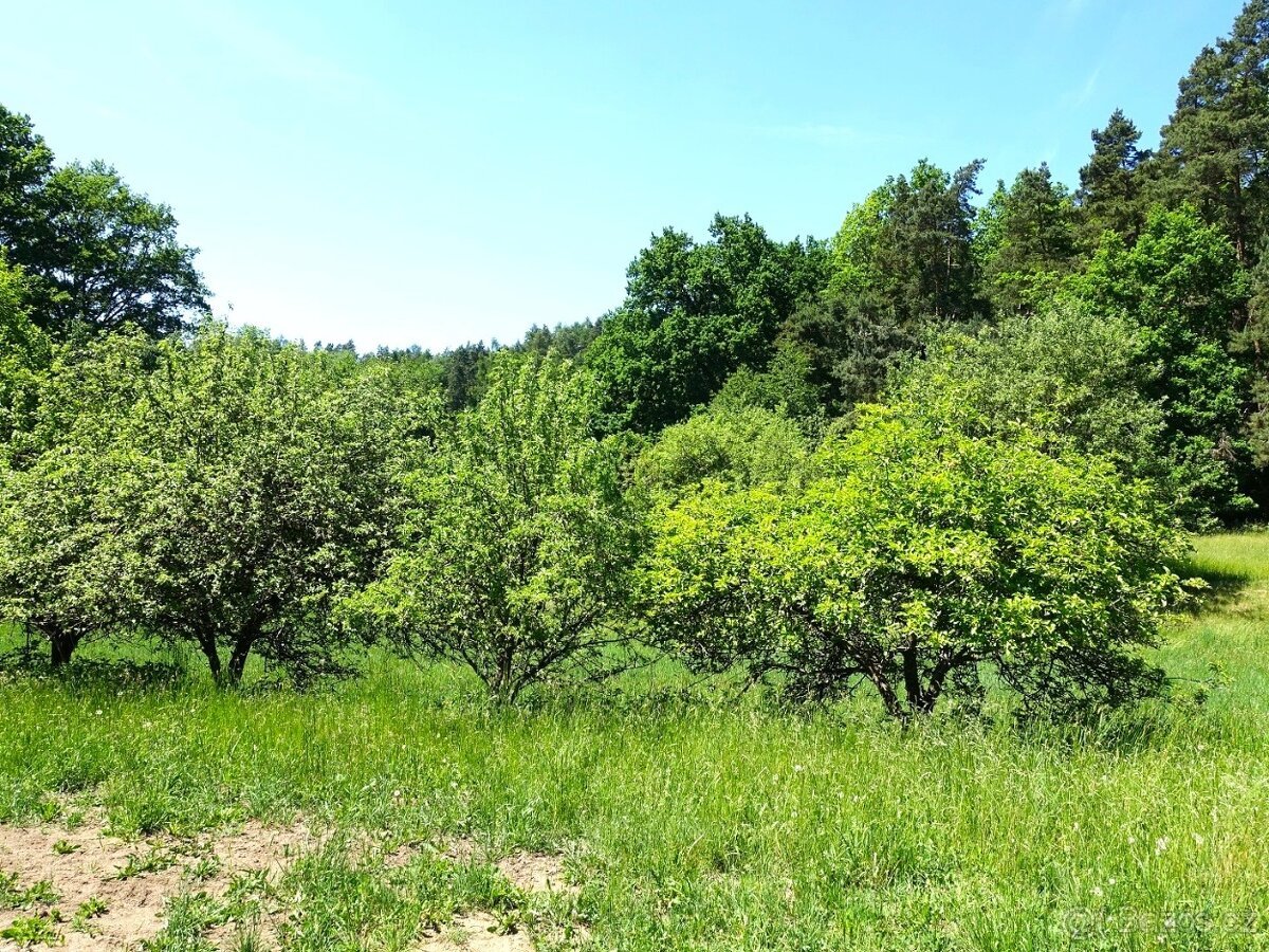 Menší pozemek 1159 m² kousek od Klatov