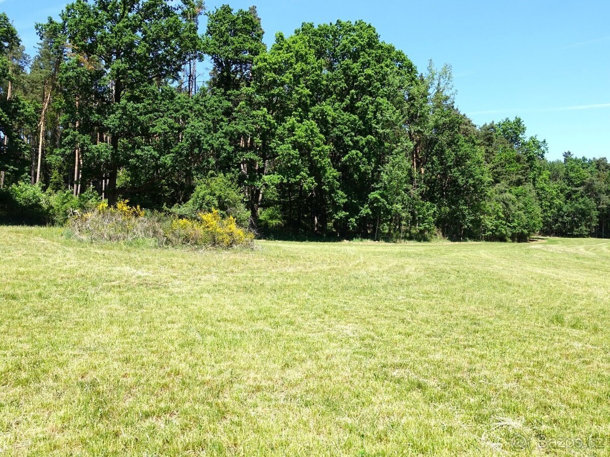 Prodej pěkného pozemku 3 292 m², kousek od Klatov