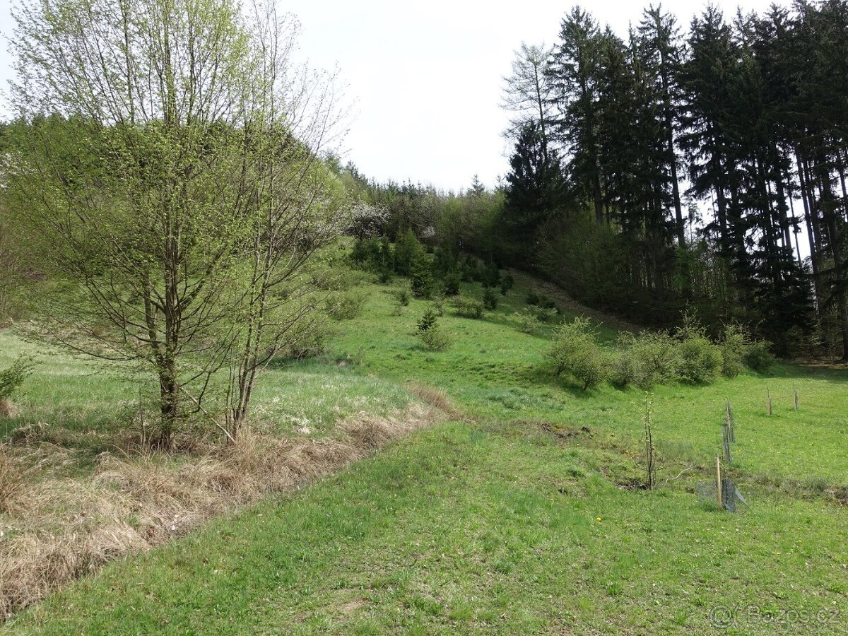Louka/pastvina 7095 m², kousek od Vsetína