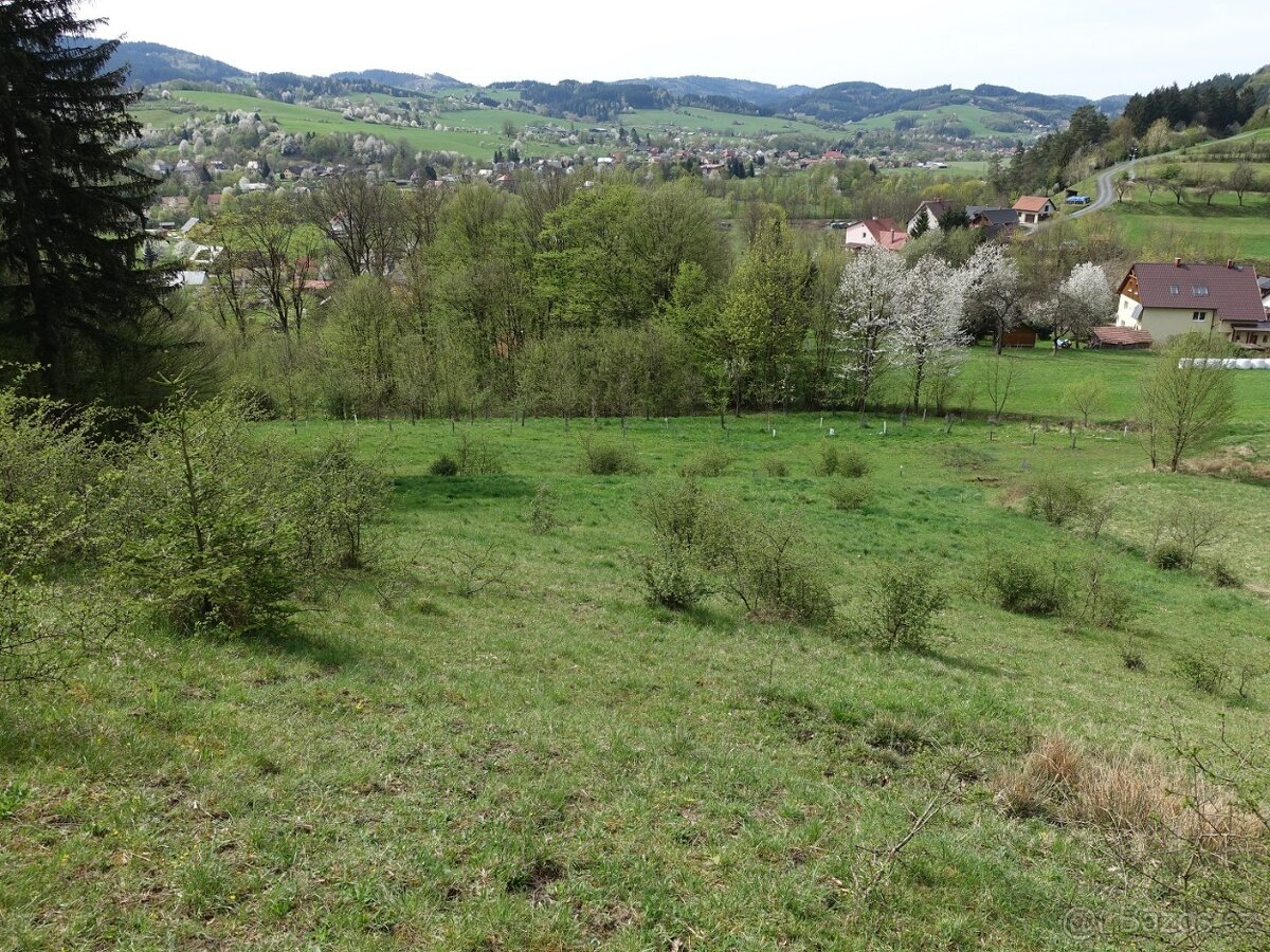 Louka/pastvina 7095 m², kousek od Vsetína