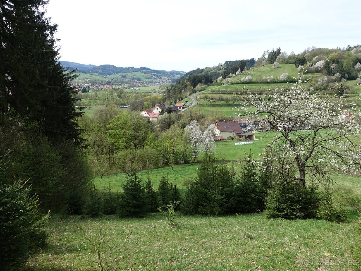 Louka/pastvina 7095 m², kousek od Vsetína