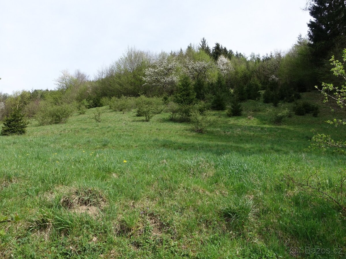 Louka/pastvina 7095 m², kousek od Vsetína