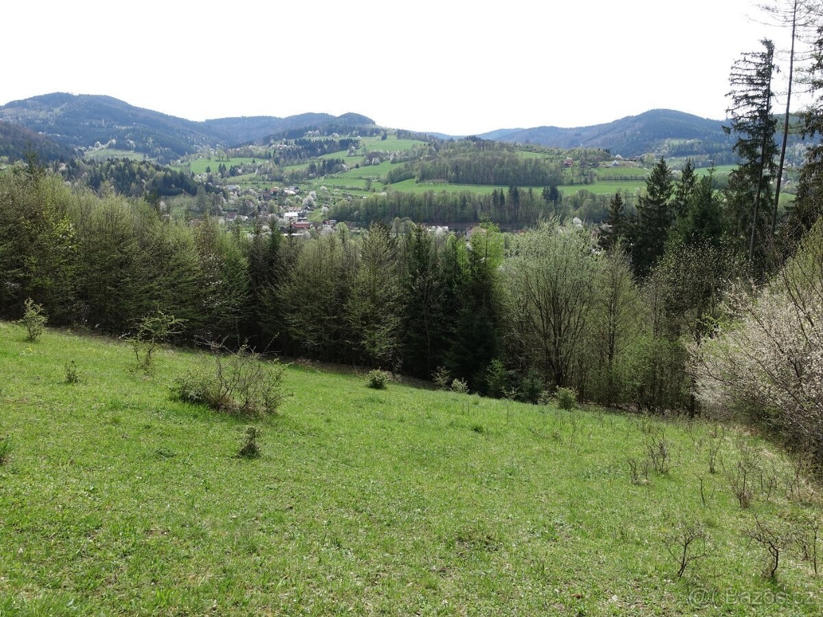Louka/pastvina 7095 m², kousek od Vsetína