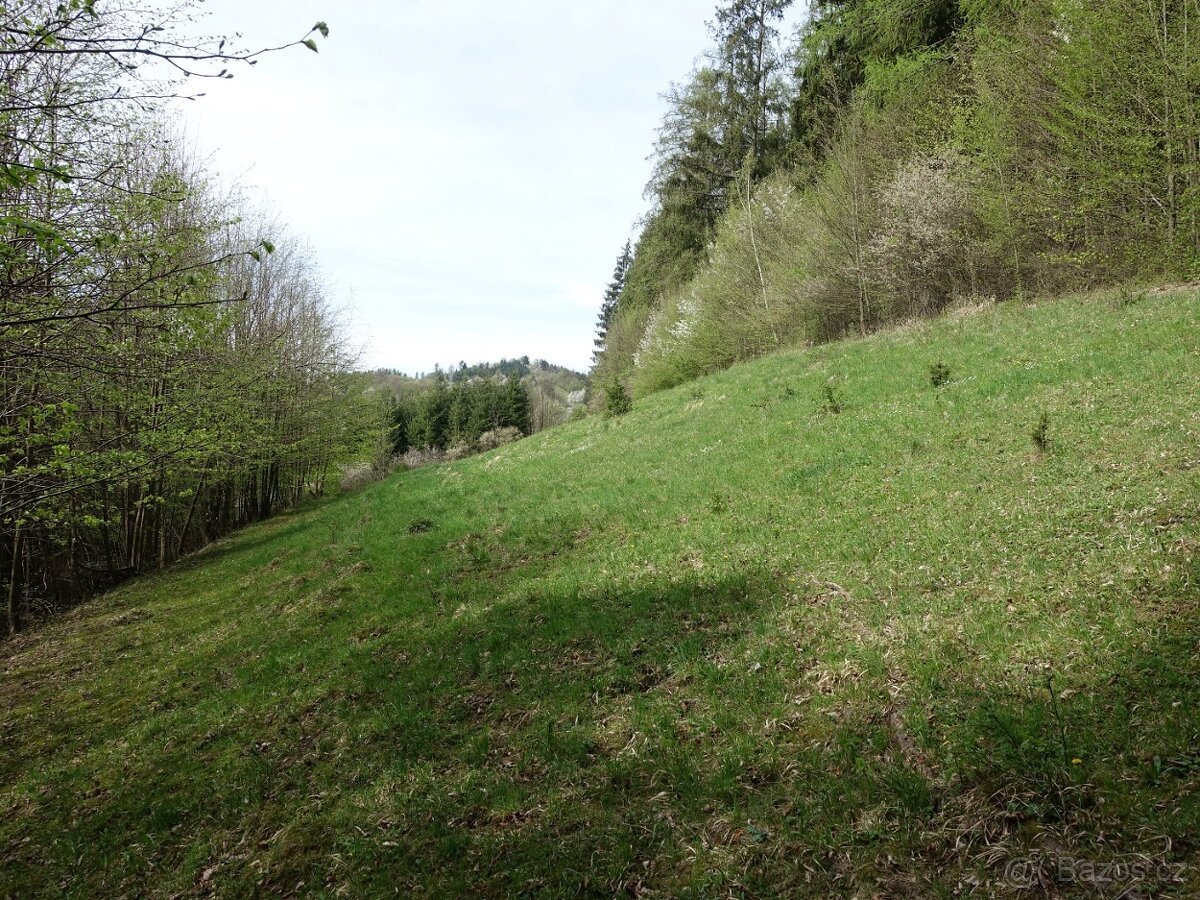 Louka/pastvina 7095 m², kousek od Vsetína