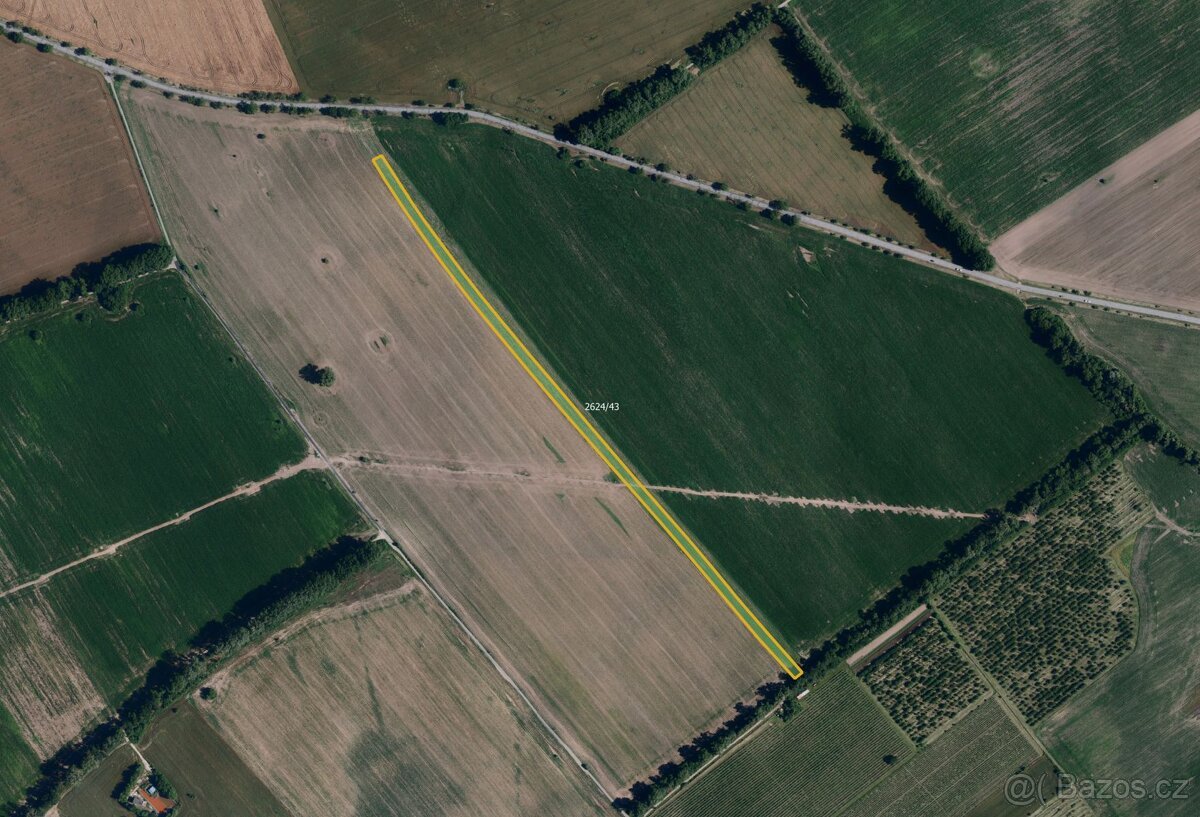 Zemědělská půda, prodej, Mikulčice, Hodonín