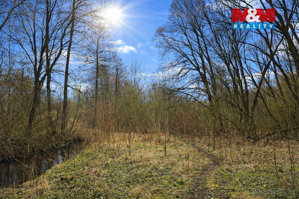 Prodej lesa, 2037 m², Snědovice