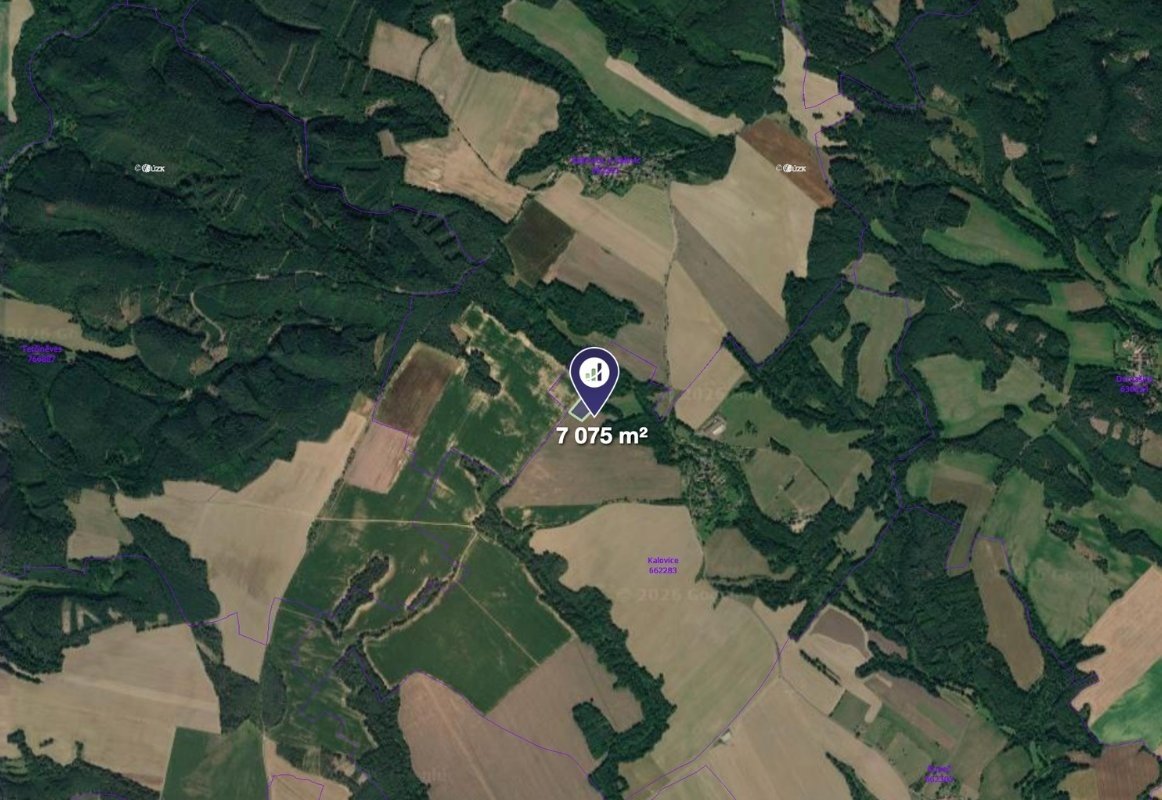Prodej pole v k.ú. Kalovice, ev.č. 2026-06-24-123132