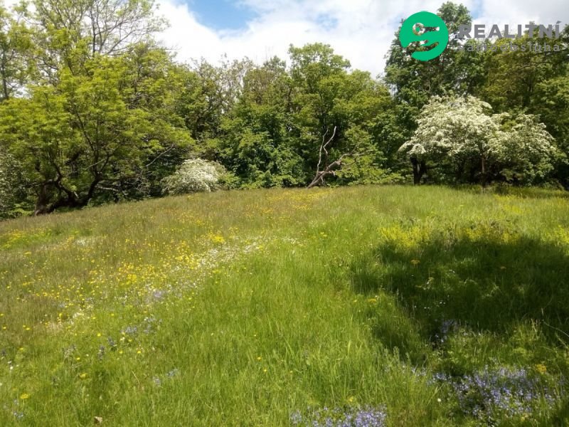Prodej zahrady 679 m² - Krňany