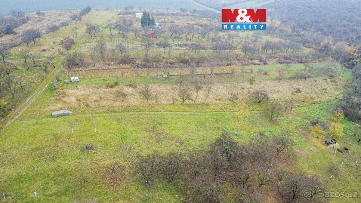 Prodej vinice, 1791 m², Bukovany
