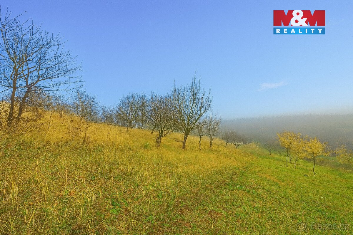 Prodej vinice, 1791 m², Bukovany