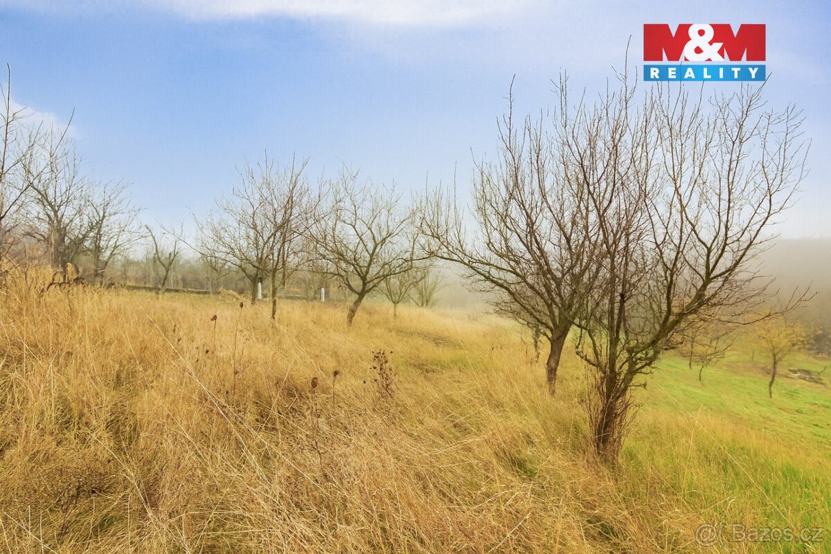 Prodej vinice, 1791 m², Bukovany