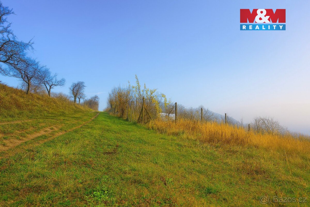 Prodej vinice, 1791 m², Bukovany