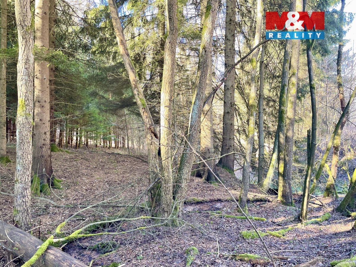 Prodej lesa, 4113 m², Dolní Dobrouč, Lanšperk