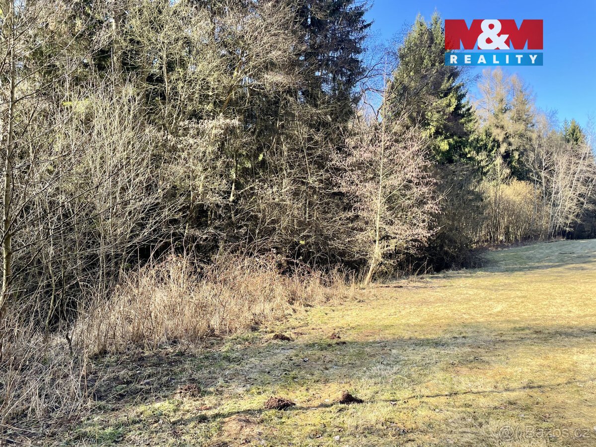 Prodej lesa, 4113 m², Dolní Dobrouč, Lanšperk