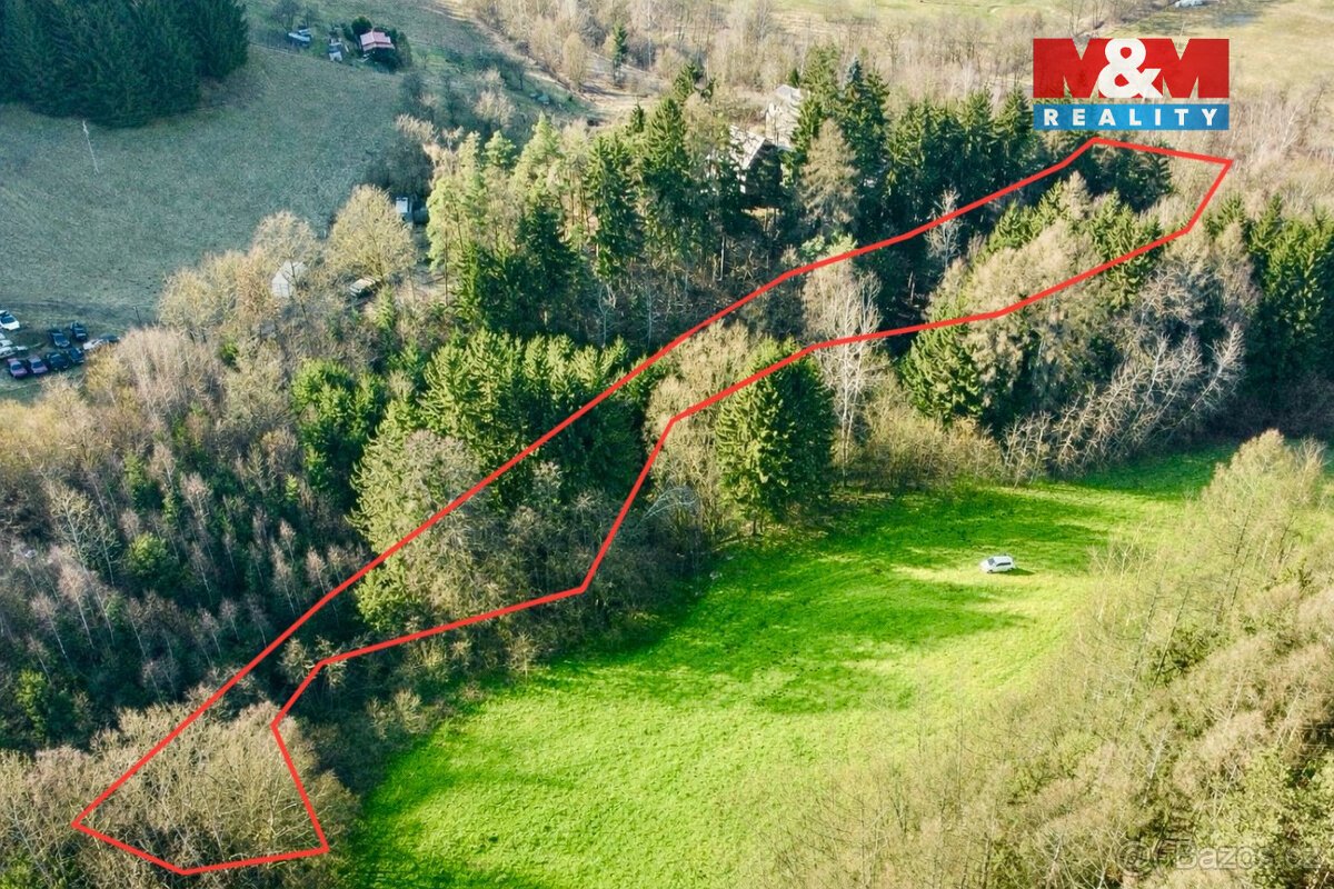 Prodej lesa, 4113 m², Dolní Dobrouč, Lanšperk