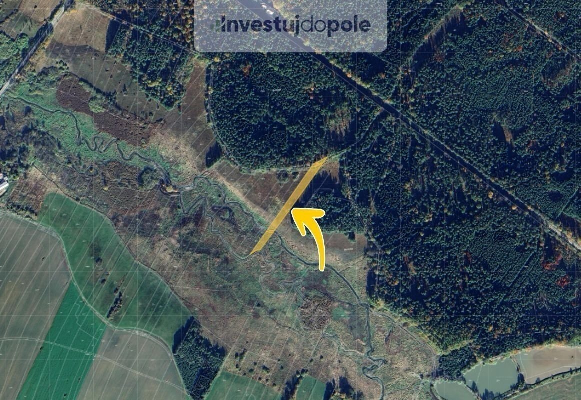 Prodej louky 3 894 m², Jílovice, ev.č. 2025-03-03-2