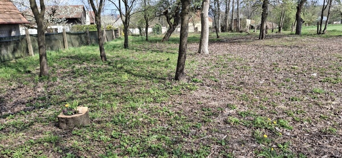 Pozemky s možností výstavby – Jenišovice