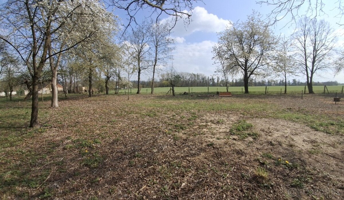 Pozemky s možností výstavby – Jenišovice