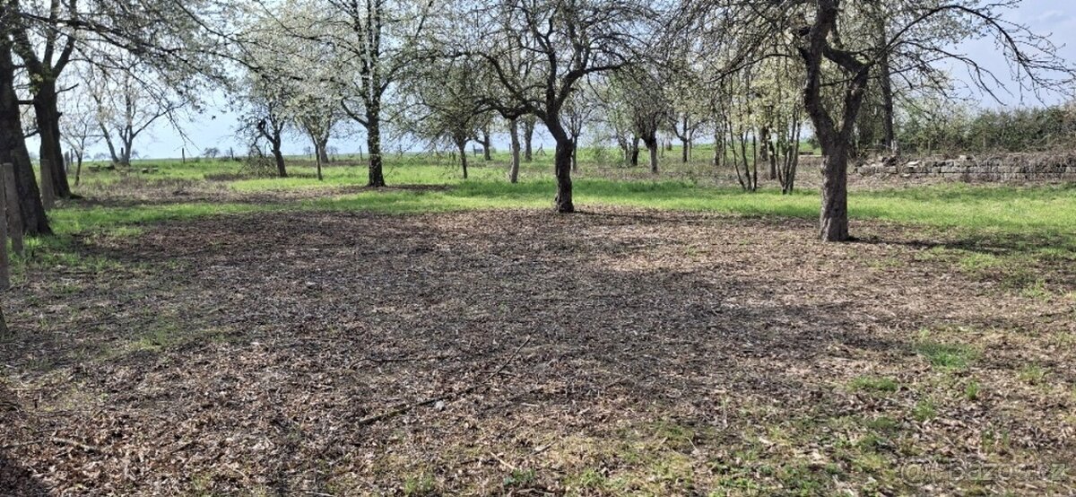 Pozemky s možností výstavby – Jenišovice