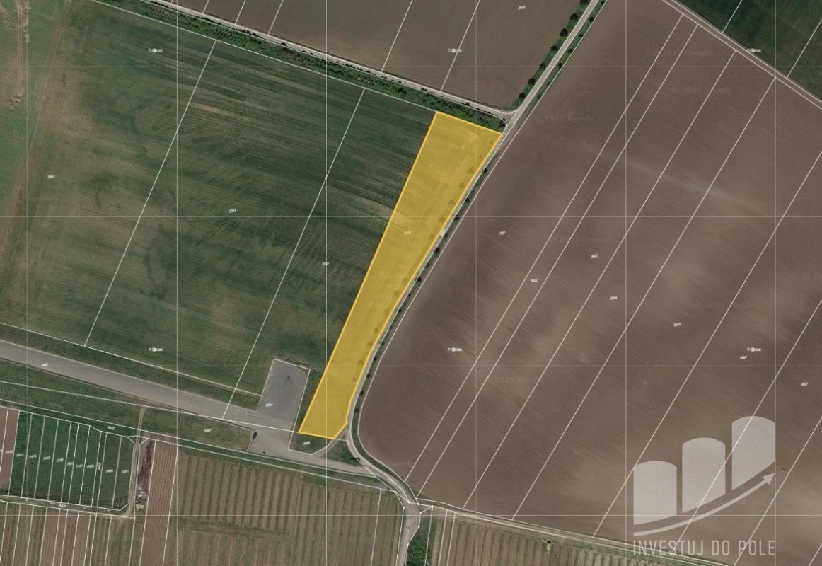 Prodej pole 7 040 m², Popice, ev.č. 2025-01-17-8