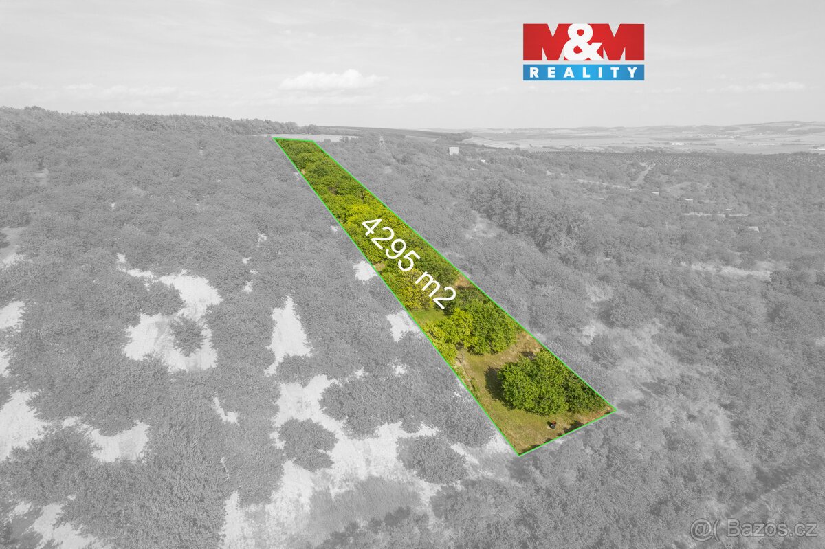 Prodej ovocného sadu 4295 m2 v Židlochovicích