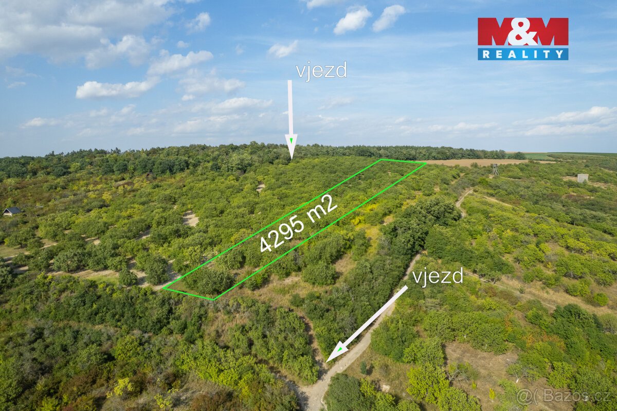 Prodej ovocného sadu 4295 m2 v Židlochovicích