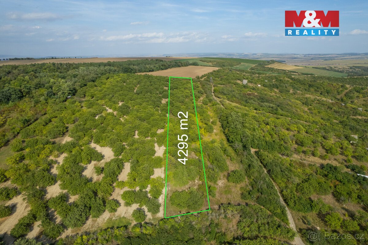 Prodej ovocného sadu 4295 m2 v Židlochovicích