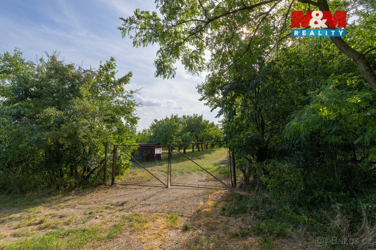 Prodej ovocného sadu 4295 m2 v Židlochovicích