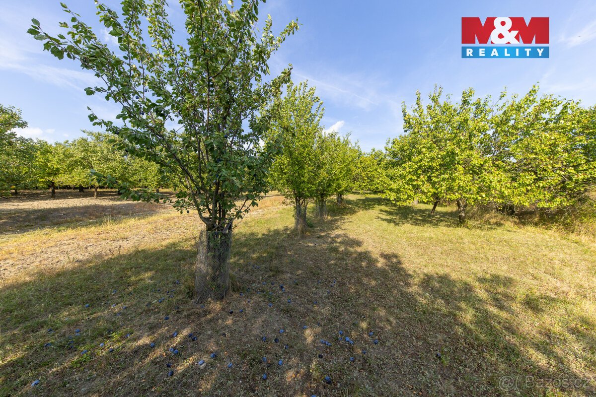 Prodej ovocného sadu 4295 m2 v Židlochovicích