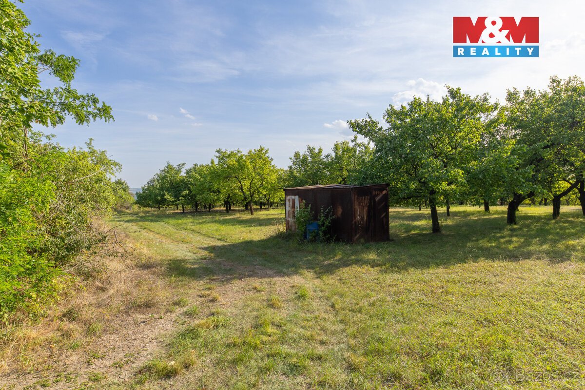 Prodej ovocného sadu 4295 m2 v Židlochovicích