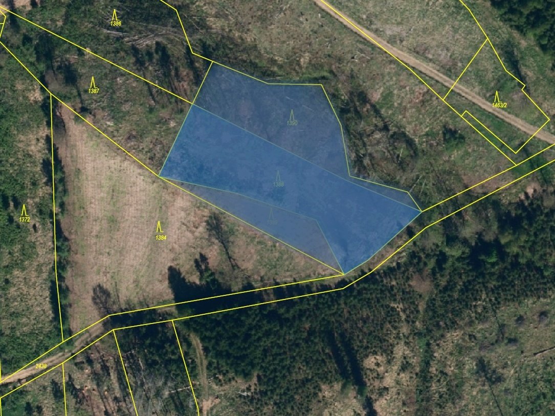 Prodám lesní pozemky 4251m2