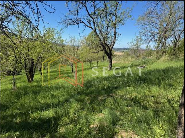 Prodej st. pozemků ve Študlově u Val. Klobouk