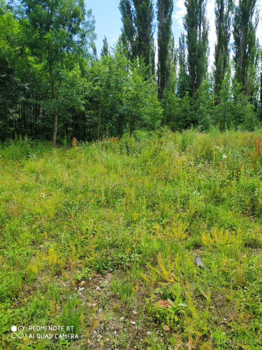 Prodej komerčního pozemku o výměře 5093 m2 v obci Libouchec,