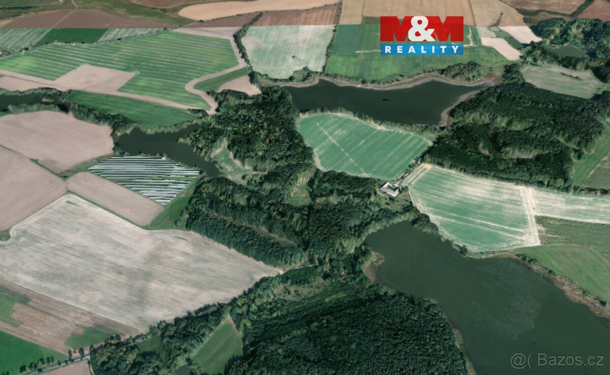 Prodej lesa, 6834 m², Dírná