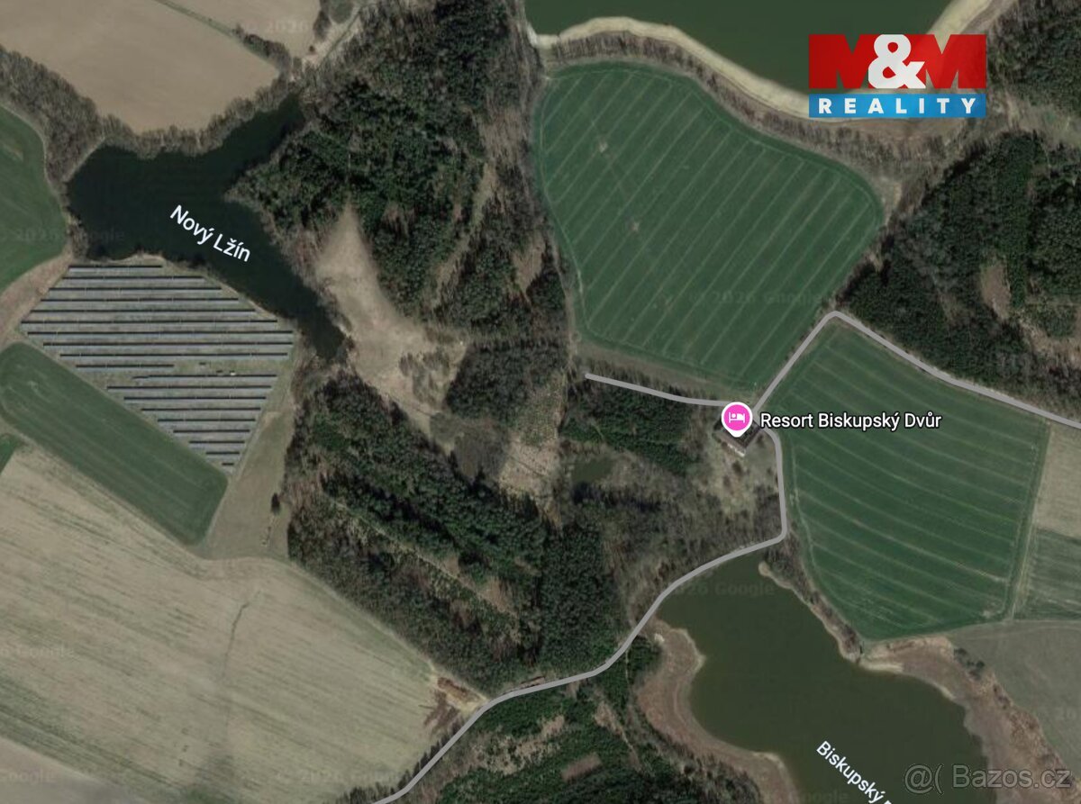 Prodej lesa, 6834 m², Dírná