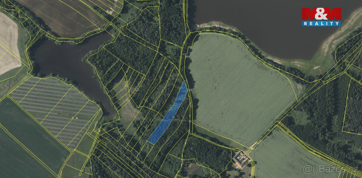 Prodej lesa, 6834 m², Dírná