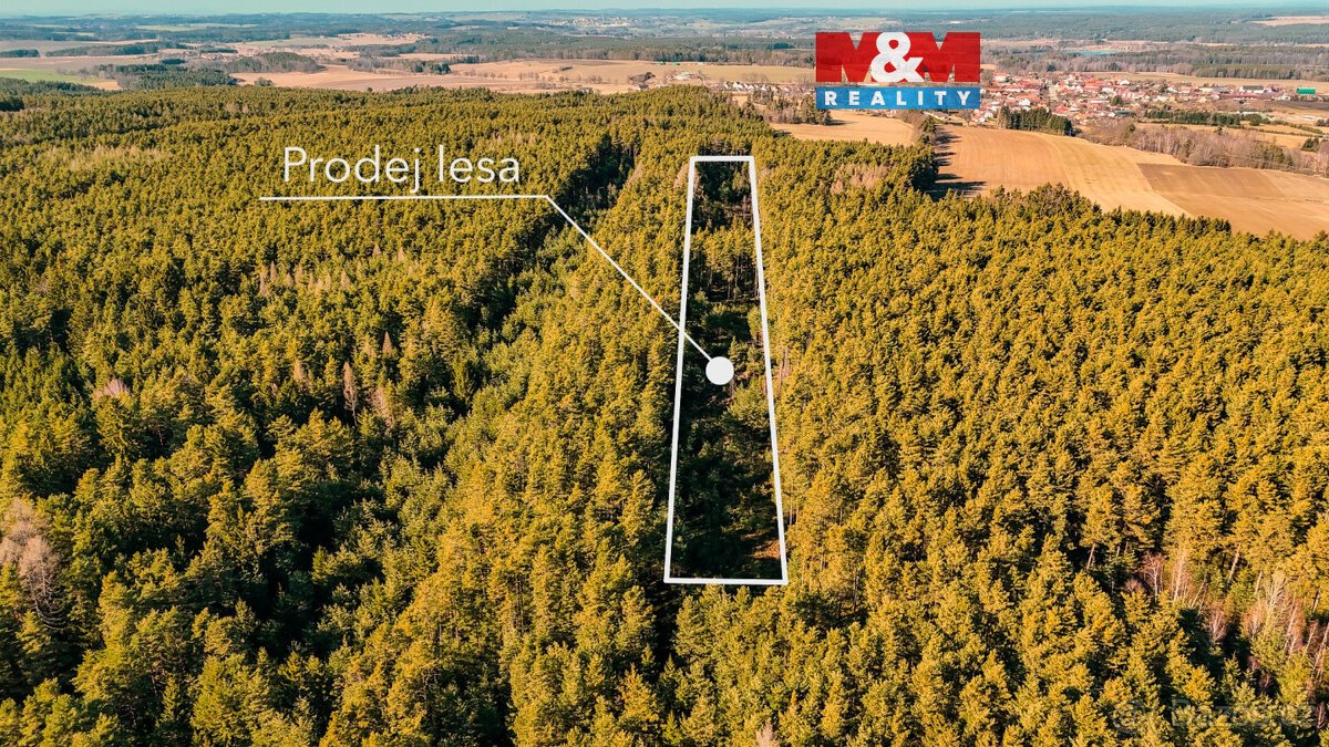 Prodej lesa, 18382 m², Olešnice u Trhových Svinů