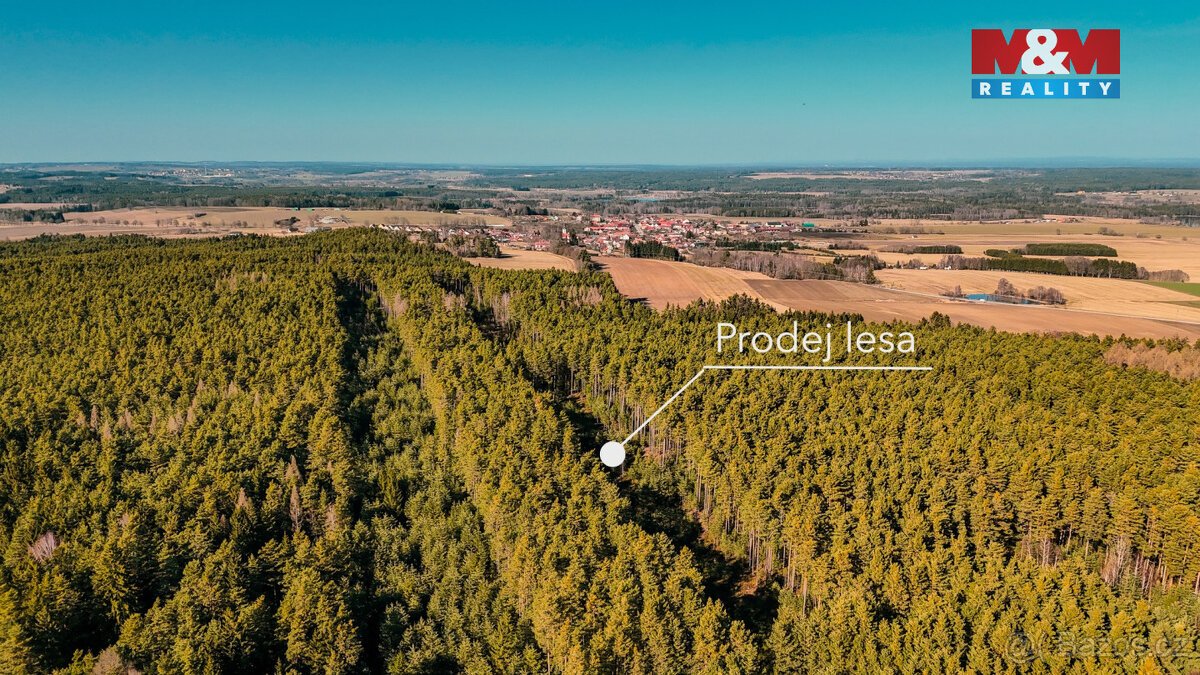 Prodej lesa, 18382 m², Olešnice u Trhových Svinů