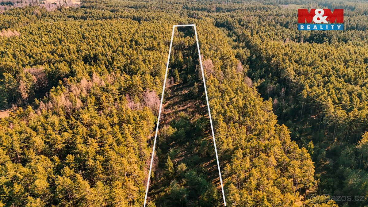 Prodej lesa, 18382 m², Olešnice u Trhových Svinů