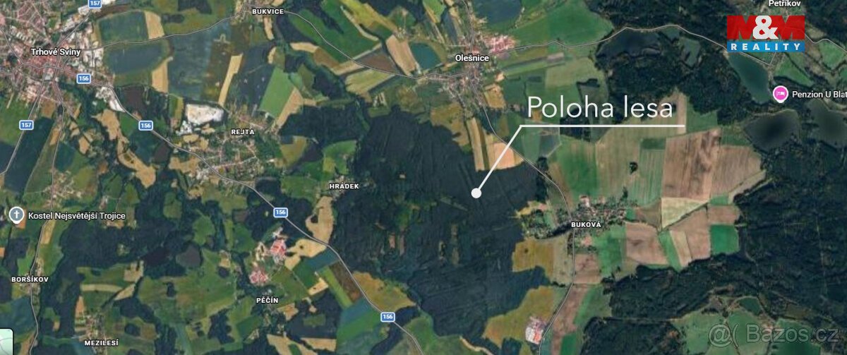 Prodej lesa, 18382 m², Olešnice u Trhových Svinů
