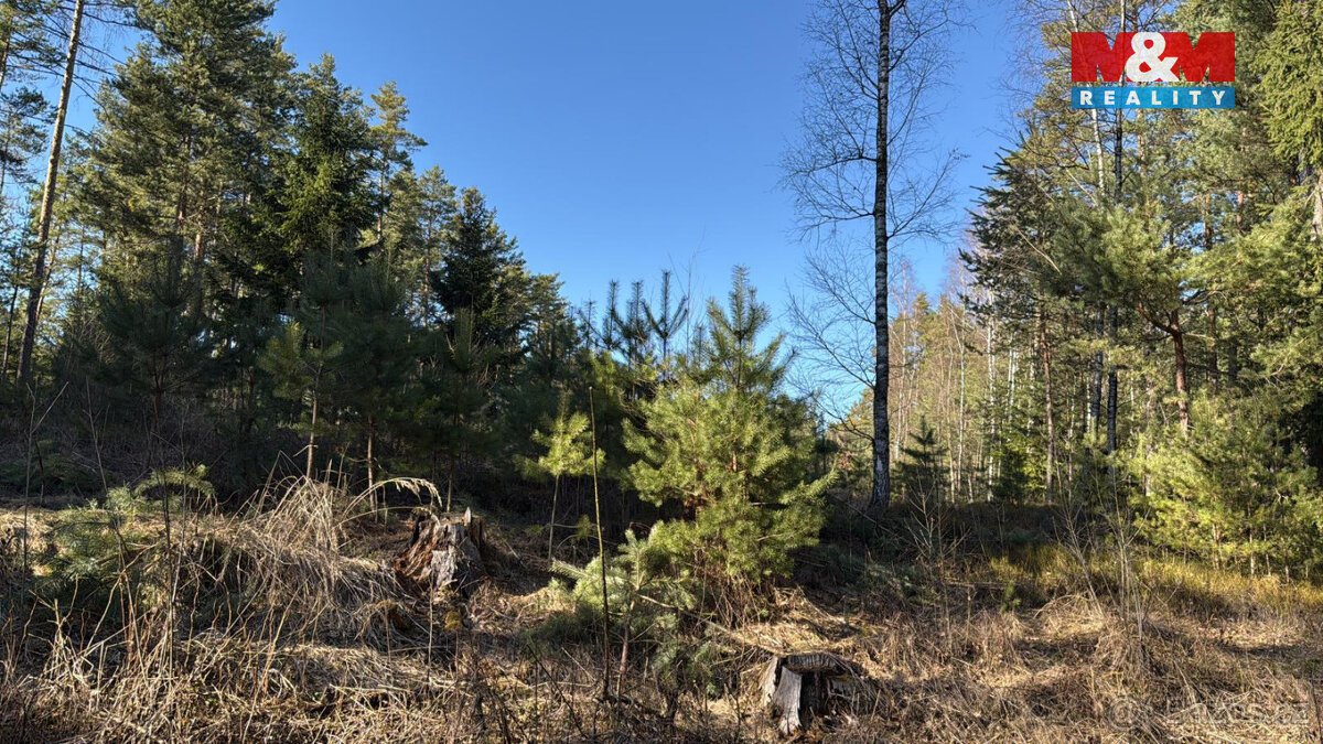 Prodej lesa, 18382 m², Olešnice u Trhových Svinů