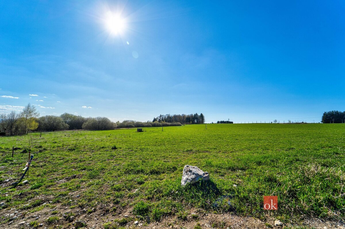 Prodej, pozemky/bydlení, 1572 m2, Zádub , Zádub-Závišín, Che
