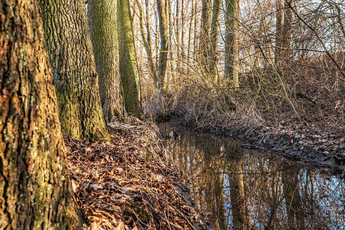Prodej stavebního pozemku Jírovice (Benešov)
