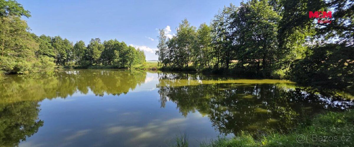 Prodej vodní plochy, 18189 m², Slezské Rudoltice