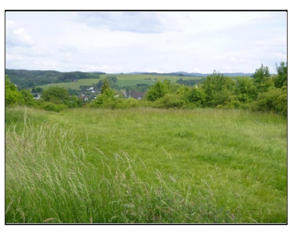 Pozemek v k.ú. Slušovice, okres Zlín, ID 8454e 0508
