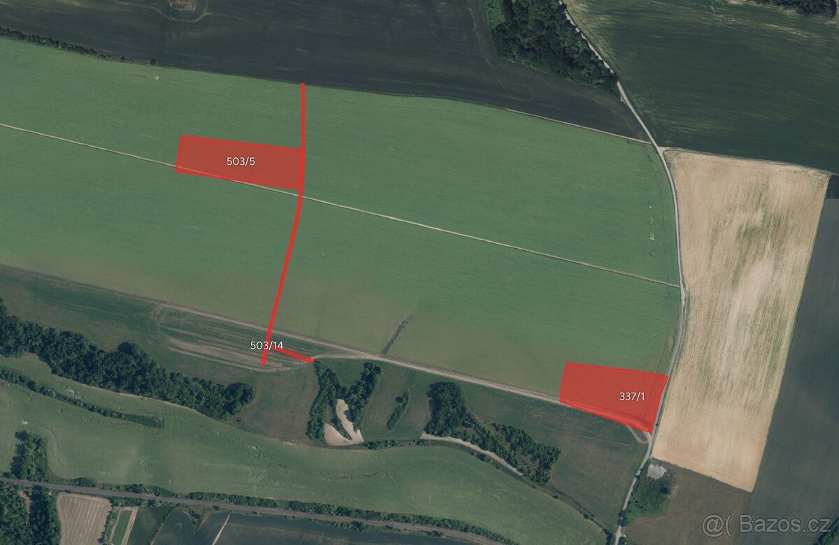 Zemědělská půda, prodej, Dolní Slivno, Mladá Boleslav